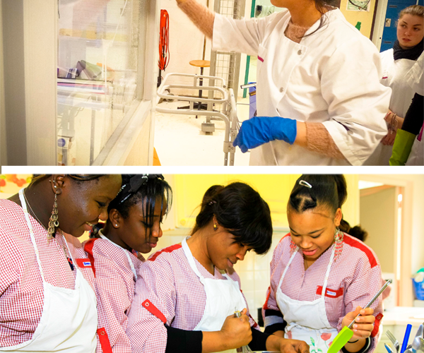 Cap Assistant Technique En Milieu Familial Et Collectif Lycee Des Metiers Louis Bleriot